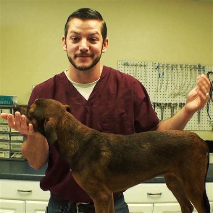 
Dr Matt Carriker (veterinarian) Wiki, Net Worth, Age, Salary, Wife, Military 