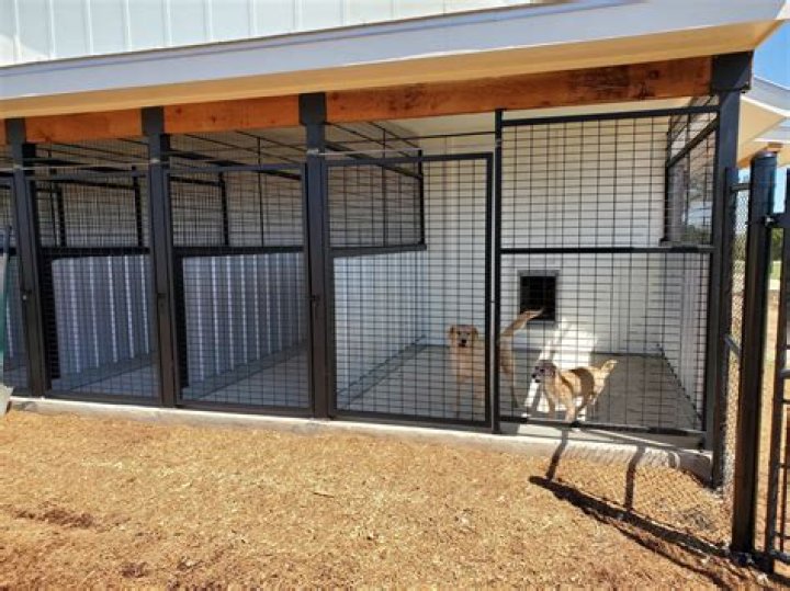 
Iowa man fatally shoots estranged wife at her dog kennel business 