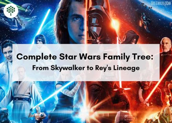 
Is Rey Related To Palpatine? Who Are Rey Skywalker’s Parents? 