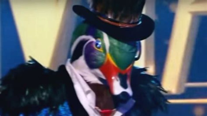 
Mallard Masked Singer Age, Birthday, Wikipedia, Who, Nationality, Biography 